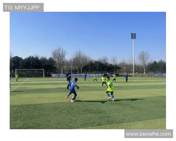 伯德足球：探索足球运动的魅力与团队精神的完美结合